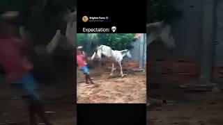 Expectation vs Reality with my horse 🐴
