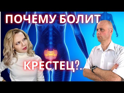 Почему болит крестец? С ЧЕМ ПУТАЮТ КРЕСТЕЦ?