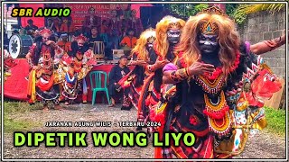 DIPETIK WONG LIYO versi Jaranan Buto Agung Wilis Audio Jernih Glerrrr