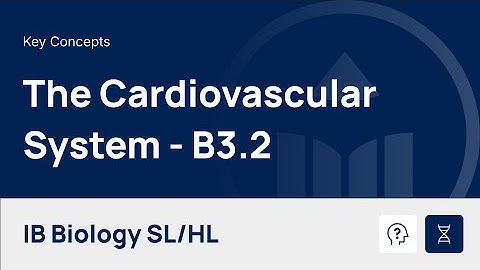 The Cardiovascular System [IB Biology SL/HL]