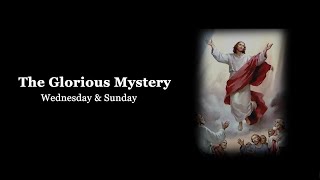 The Holy Rosary: Glorious Mysteries with Litany (Wednesday & Sunday)