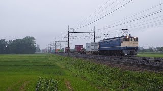 【EF65】東北線貨物列車  東大宮-蓮田  (58)【EH500】
