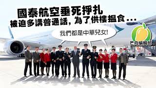 💚 20190818F 國泰航空垂死掙扎被迫多講普通話 為了供樓搵食.... | 芒向快報
