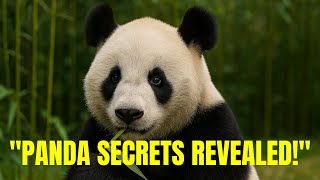 "Panda Secrets: The Fascinating Facts You Won’t Believe!"