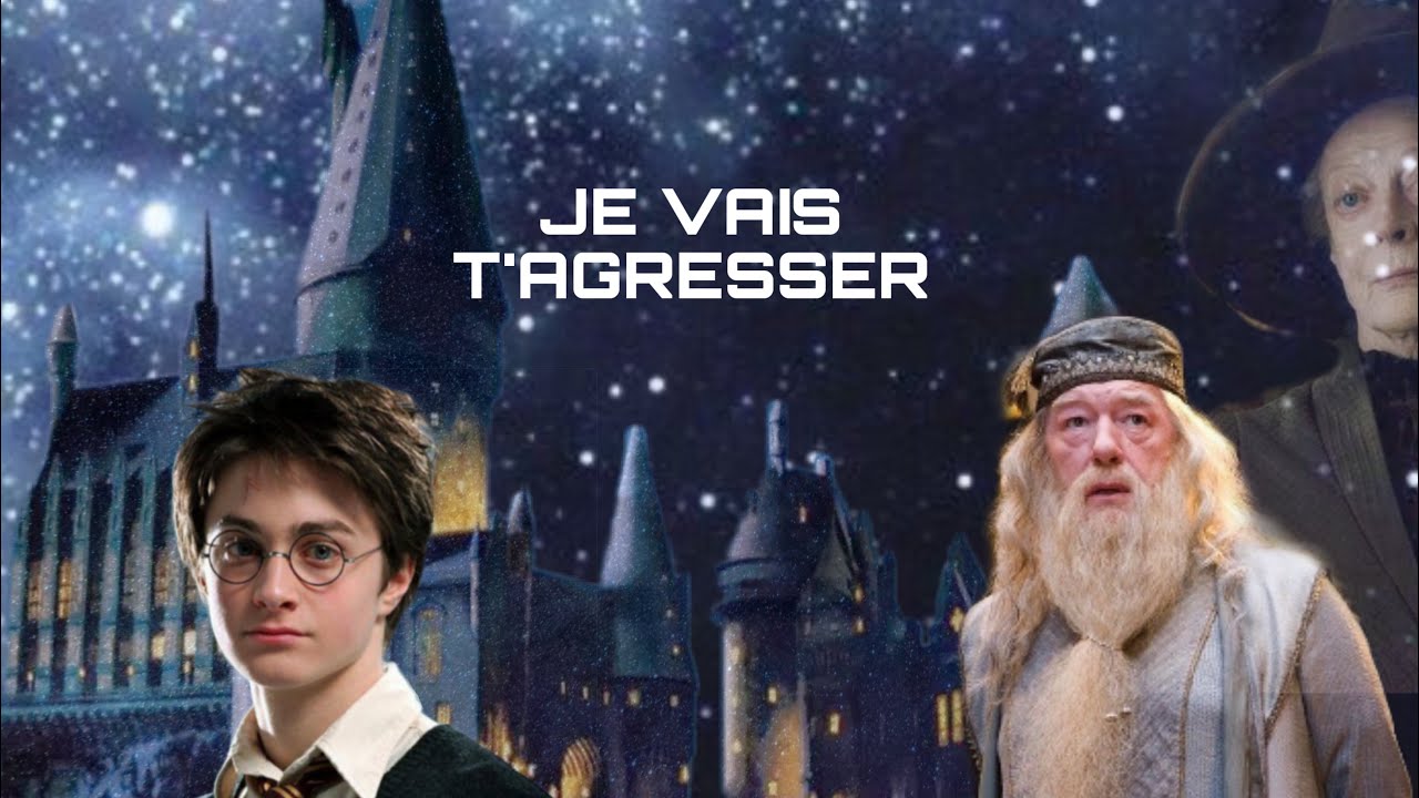 Le début des sombres agressions ( Ytp Harry Potter) épisode 1 saison 1