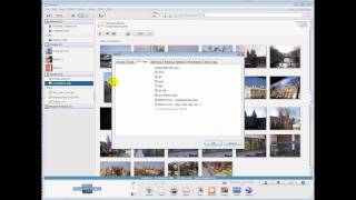 Finding Photographs on your hard drive with Picasa