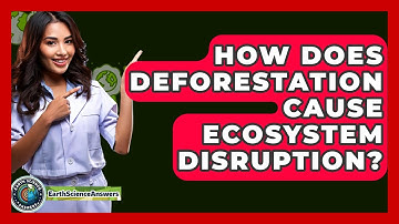 How Does Deforestation Cause Ecosystem Disruption? - Earth Science Answers