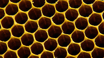 Why do bees build hexagonal honeycombs? - Forces of Nature with Brian Cox: Episode 1 - BBC