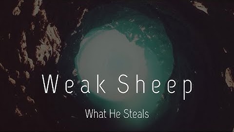 WHAT HE STEALS - W e a k  S h e e p