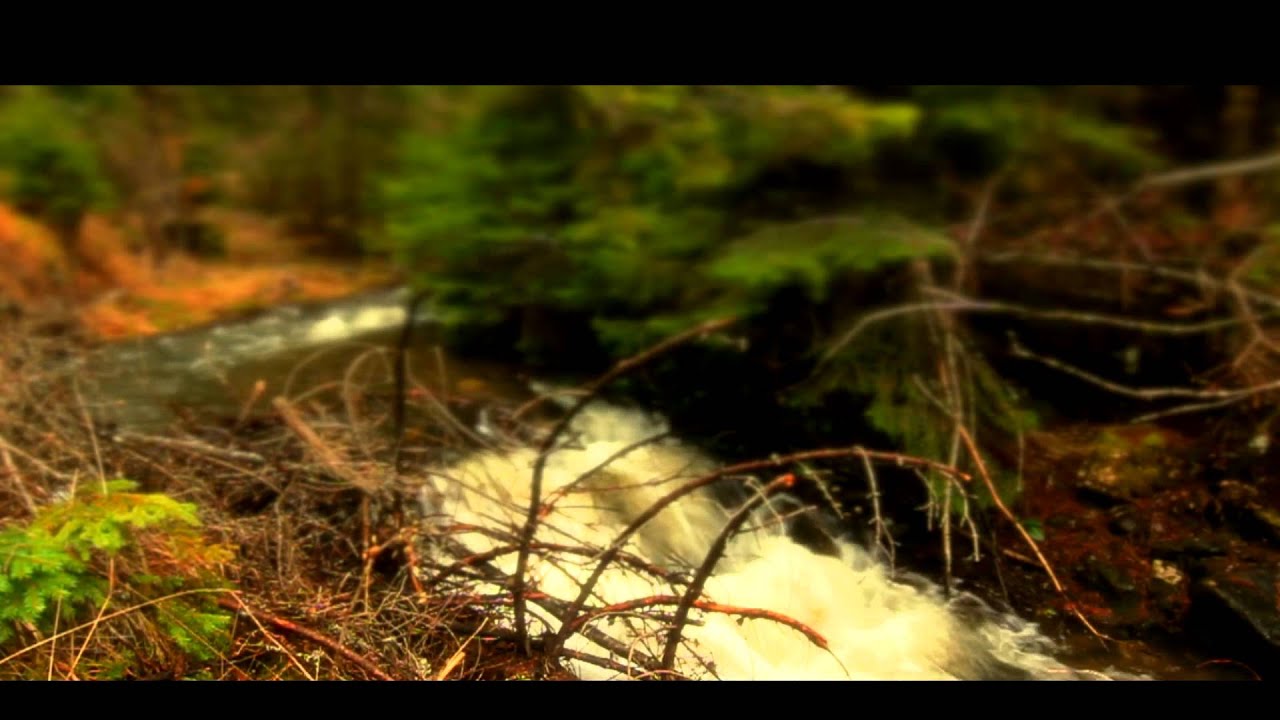 Tri lepa kišna dana - Zaovine na Tari