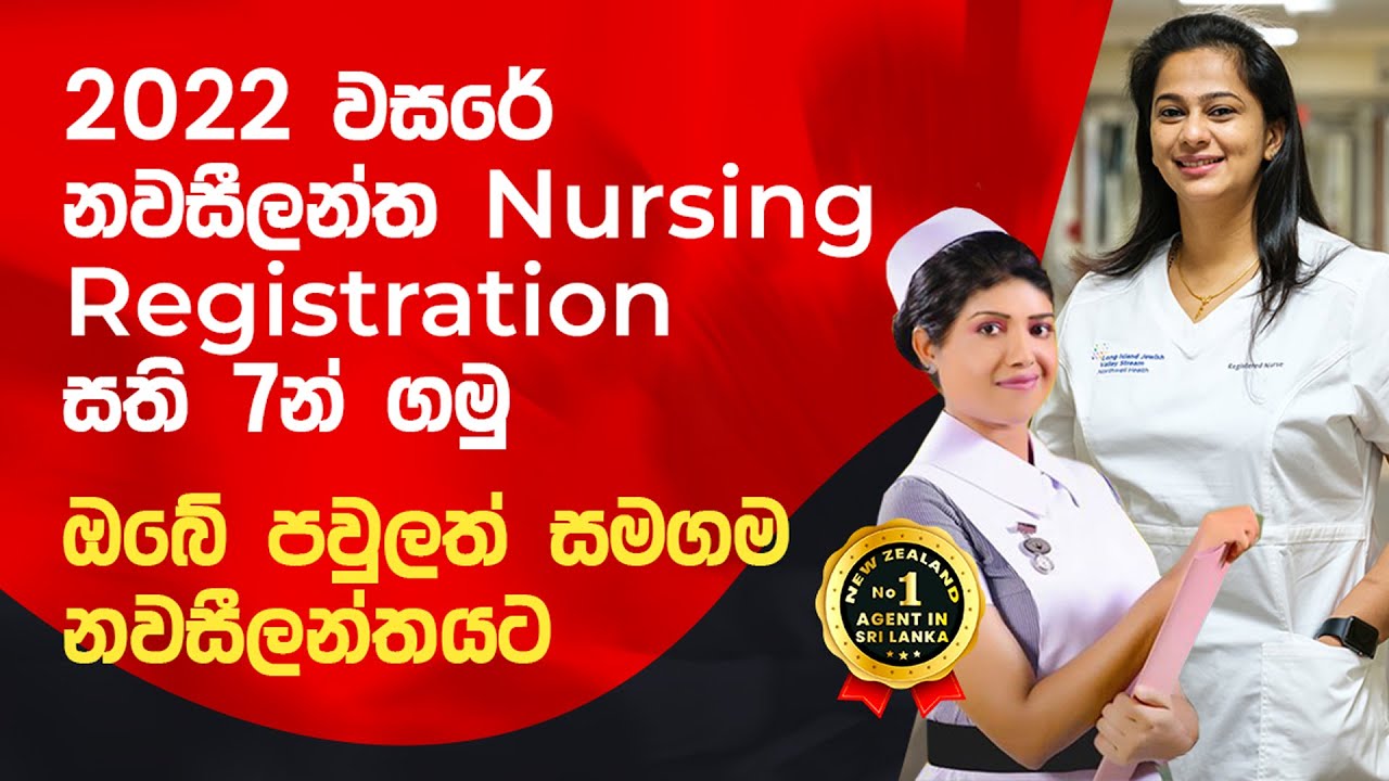 New Zealand Nursing Registration Program 2022 Settle in New Zealand