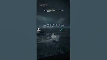 تلاوة مختارة جميلة وشجية في قمة العذوبة..الا بذكر الله تطمئن القلوب