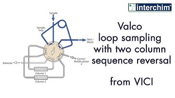 VICI – Valco loop sampling with two column sequence reversal