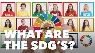 What are the SDG's: a colorful compass (Dutch-English subs)