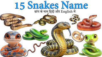 Snake Names for Kids | Learn 15 Types of Snakes in English | Preschool & Toddler Learning Video 🐍