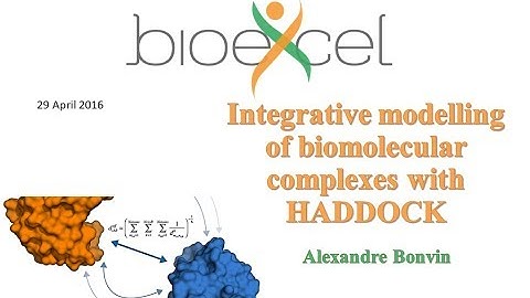 BioExcel Webinar Series #1: Integrative modelling of biomolecular complexes with HADDOCK