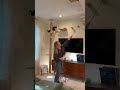 Part 2 of answering questions about my cat jungle gym