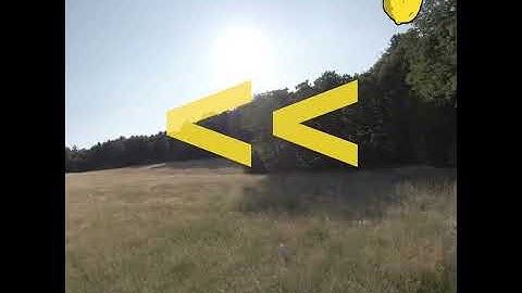 DJI FPV drone crash #1, #Shorts