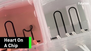 This Working Heart Was 3D Printed...On A Tiny Chip