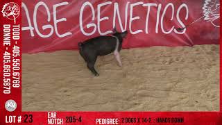205-4 :: Savage Genetics