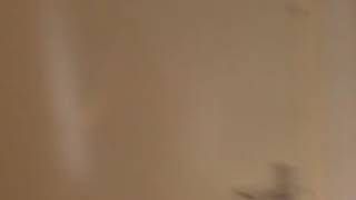 Hochzeit von Holland mit Yacoub Shaheen Lied