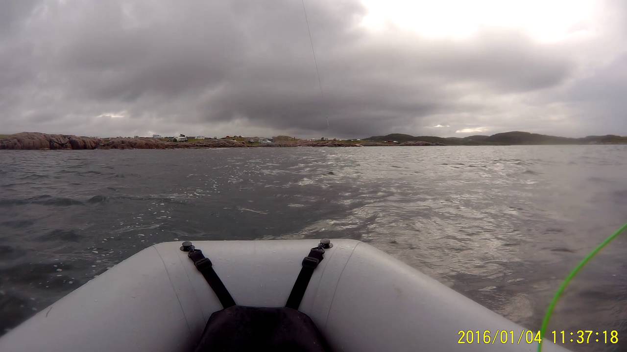 Rough Sea Trout Scotland Inner Hebrides Fly fishing in the sea YouTube