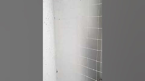 Bird Netting Services With Zipper  You can close and open with zipper system. Helpline 8800948180