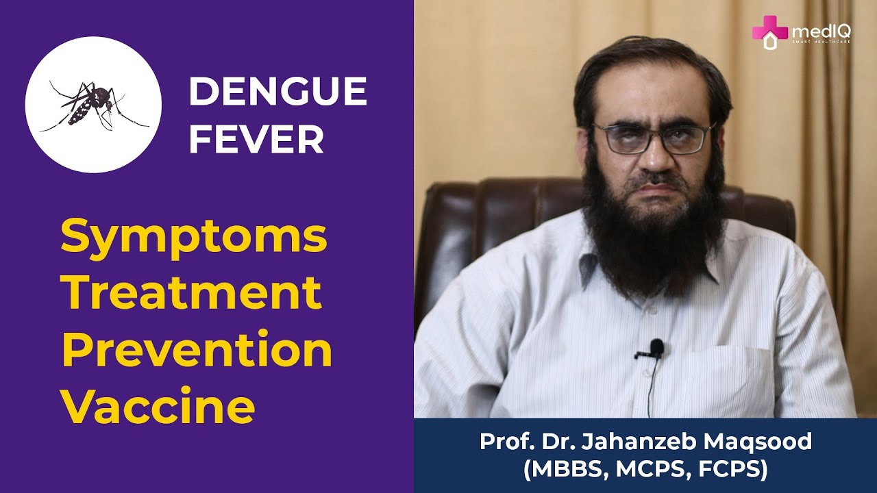 Dengue Fever Treatment and Management | Dengue Vaccine | Dengue Bukhar ka Ilaaj in Urdu/Hindi