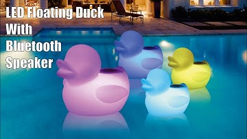 LED Floating Duck With Bluetooth Speaker