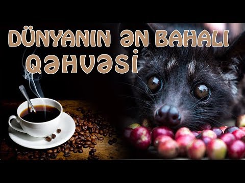 Video: Balidə Hava və İqlim