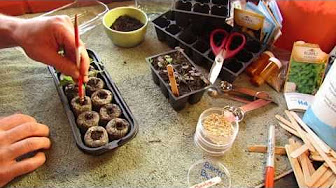 Starting, Growing and Tending Tomatoes and Peppers