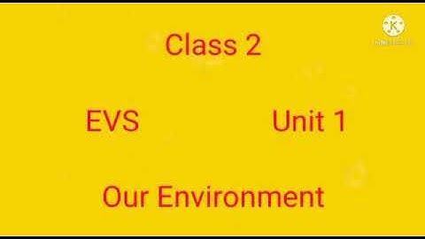 2 nd sted evs term1 part 2                                Our environment