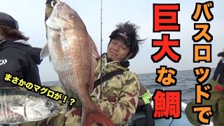釣りよか全員集合！長崎県平戸でタイラバ釣りに挑戦！