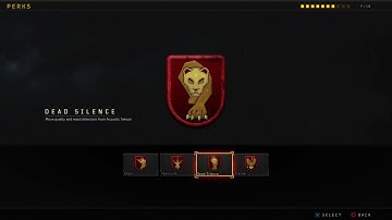 New!!!Weapon Variant Camo|Glitch|Bo4