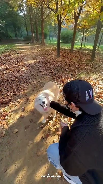 Jake taking a walk with layla😭 happy birthday layla😍 #enhypen #jake #엔하이픈