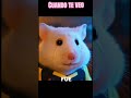 Cuando te veo #hamsters #humor #sadstory #rock #music #love #accident #comedia #memes #novios