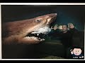 Update On ROSIE The shark / Abandoned Wildlife Park Viral Video Original footage