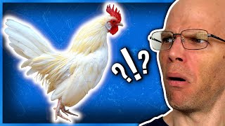 Cockygate: The Cocky Trademark Controversy
