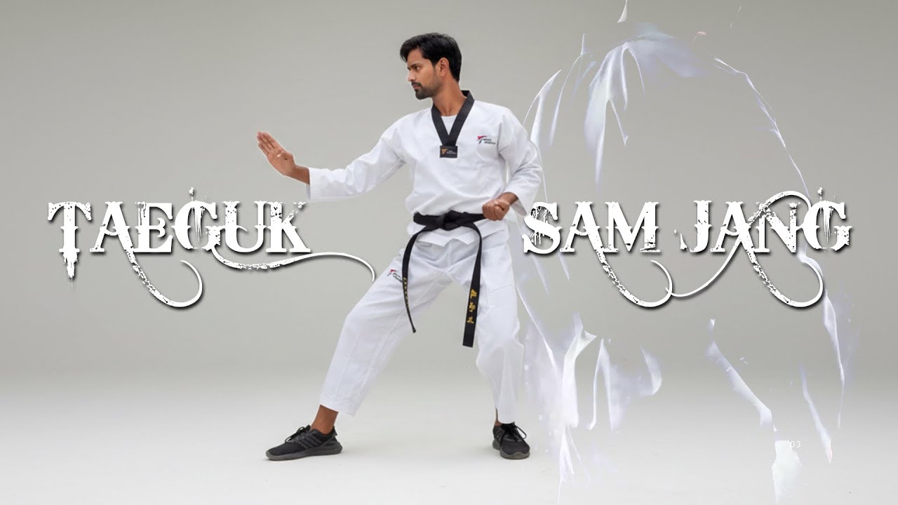 Taeguk Sam Jang 3 poomsae TAEKWONDO 