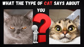 Which Cat Breed Matches Your Personality