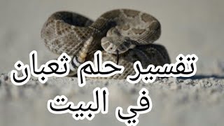 تفسير حلم ثعبان في البيت What does a snake in the house mean in a dream