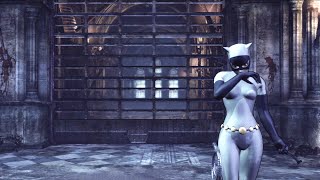 BATMAN: ARKHAM CITY - Survival of the Fittest EXTREME | PERFECT COMBAT (Catwoman: Animated Series)