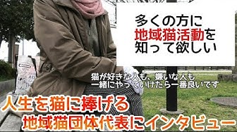人生はねこだらけ Youtube