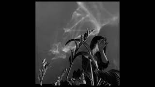 Pmurny & Ryabina - Дай Мне Забыть Slowed Reverb