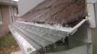 Leaf Solution_D2.mov
