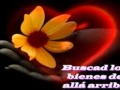 RUTH RIOS-EL RESÙCITADO