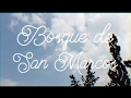 Dromedarios Mágicos - Bosque de San Marcos (Video Lyric)