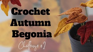 Autumn Ember Begonia Crochet Fall Leaves ( The Easiest Realistic Crochet Begonia You'll Find )