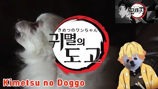 Demon Slayer | OP | Gurenge Gabe the dog cover ( Kimetsu no yaiba )