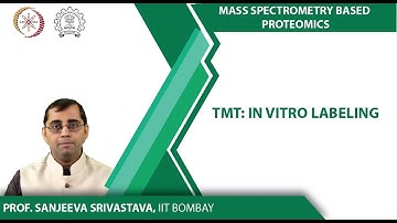 TMT: In vitro labeling